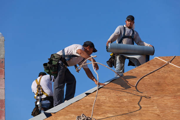 Best Roof Waterproofing Services  in Johns Creek, GA